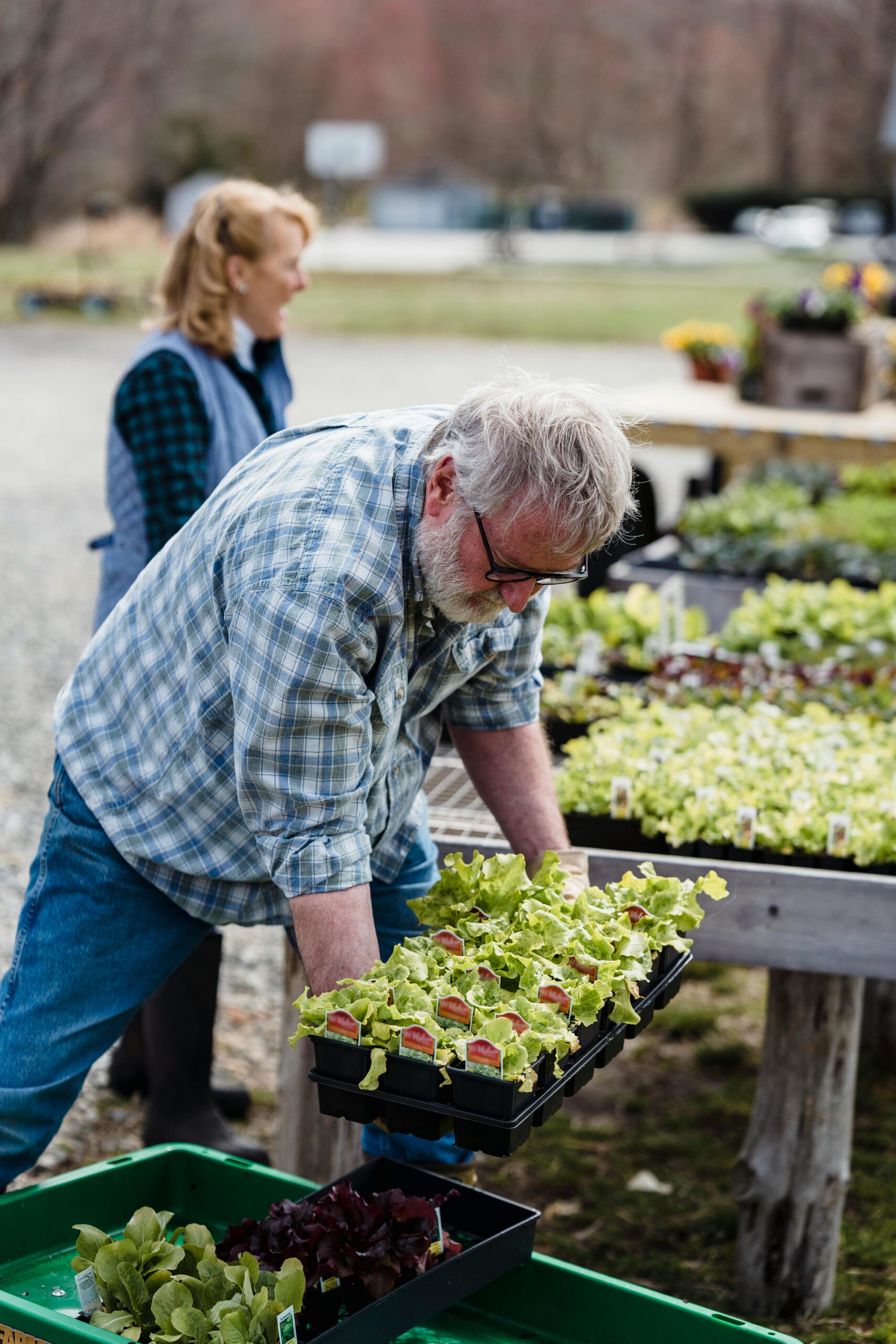 Side view of couple of middle aged farmers in casual clothes carrying containers with various fresh organic green plants while working in farm in daylight